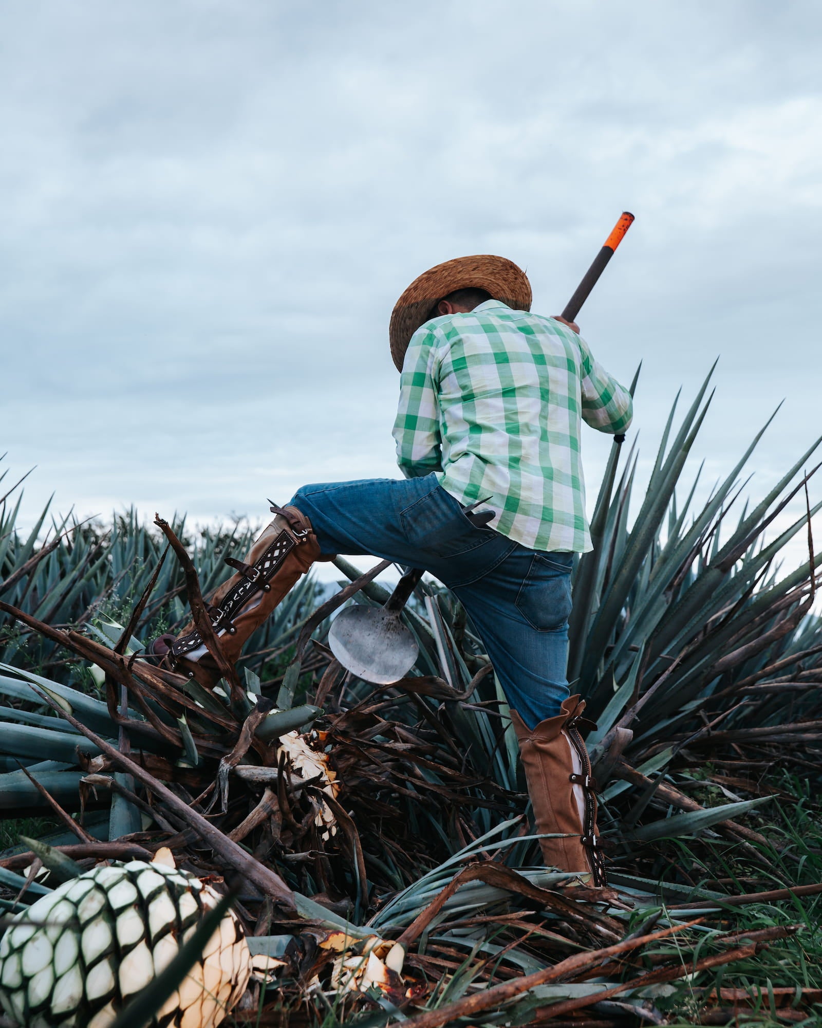 Harvesting