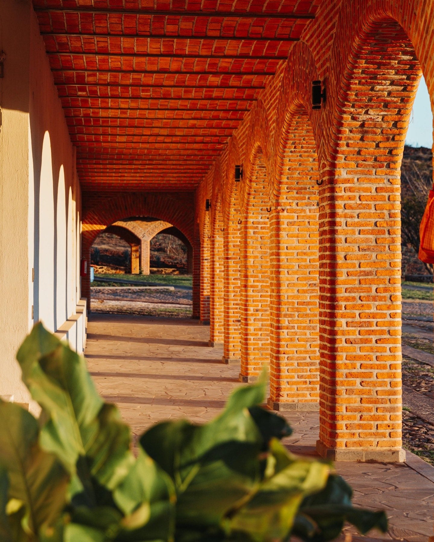 The arcade of the Quetzalli distillery