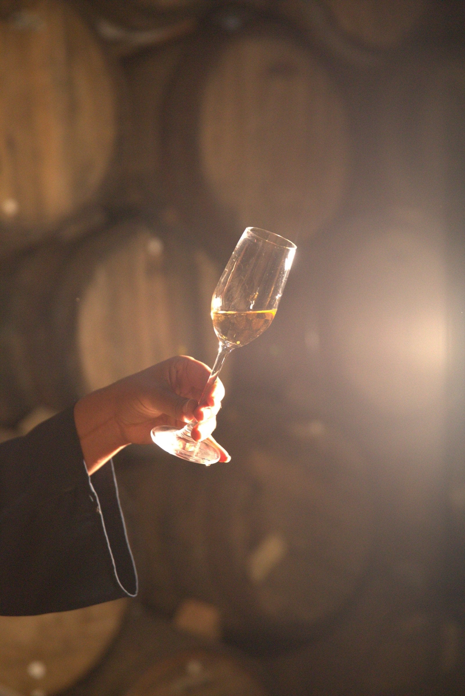 A glass of Quetzalli tequila held against the light